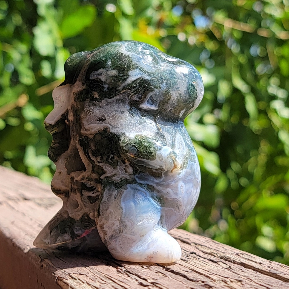 (C) 2.5" x 3" CHUBBY MOSS AGATE DINO